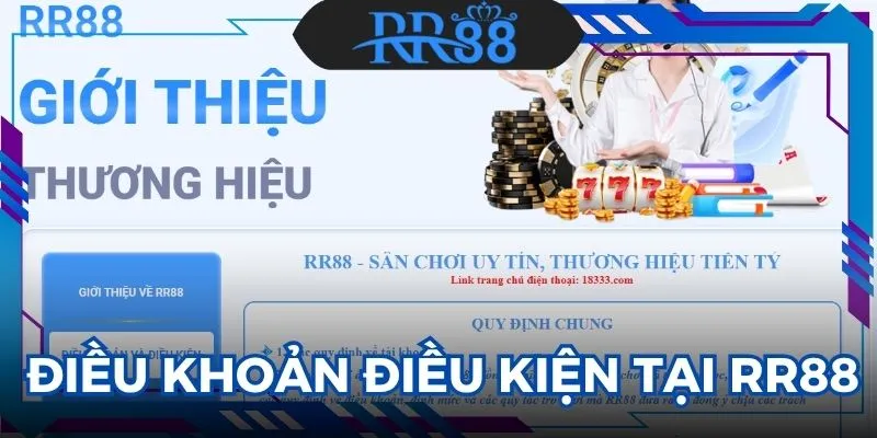 điều khoản điều kiện