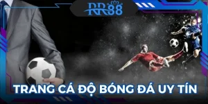 Trang Cá Độ Bóng Đá Uy Tín